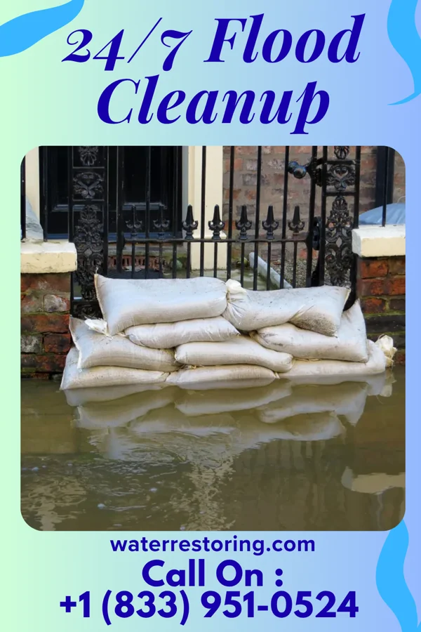 24/7 Flood Cleanup in Sodus Point, NY