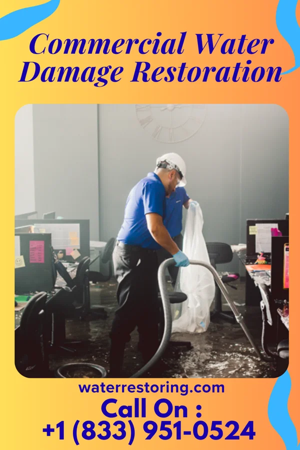 Commercial Water Damage Restoration in Sodus Point, NY