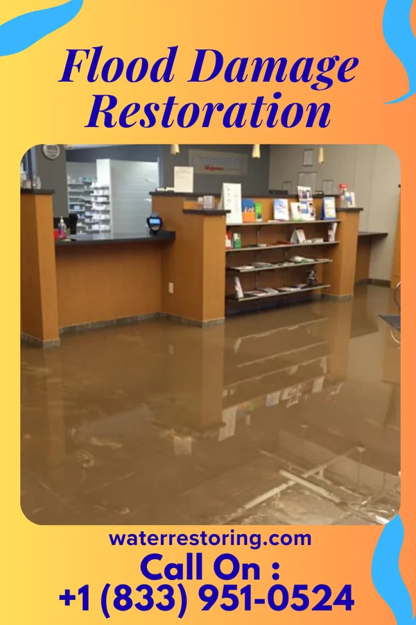 Flood Damage Restoration in Sodus Point, NY