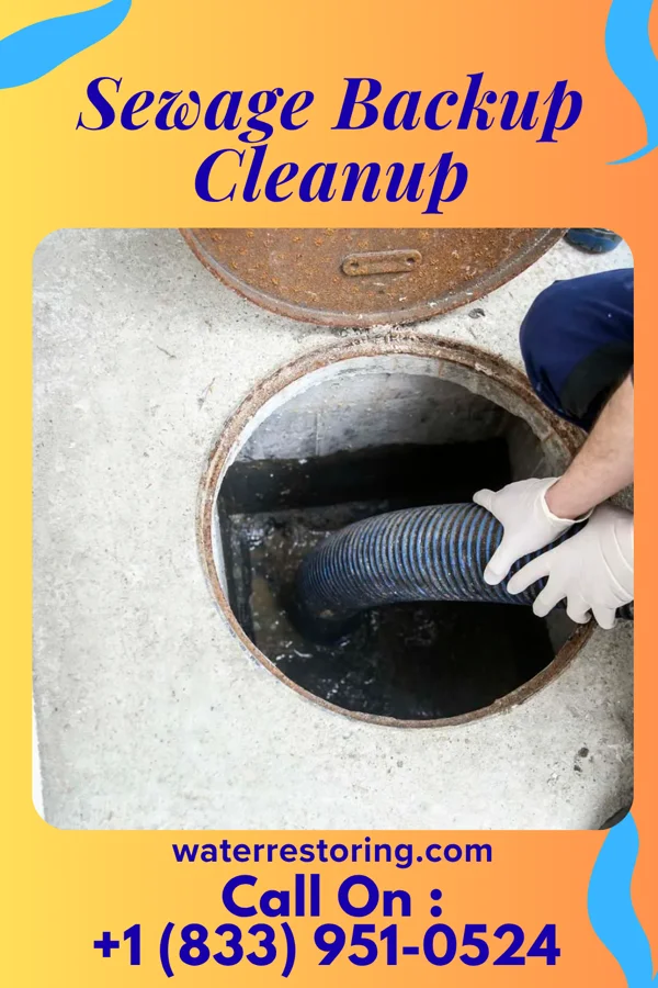 Sewage Backup Cleanup in Sodus Point, NY