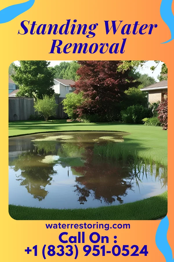 Standing Water Removal in Sodus Point, NY